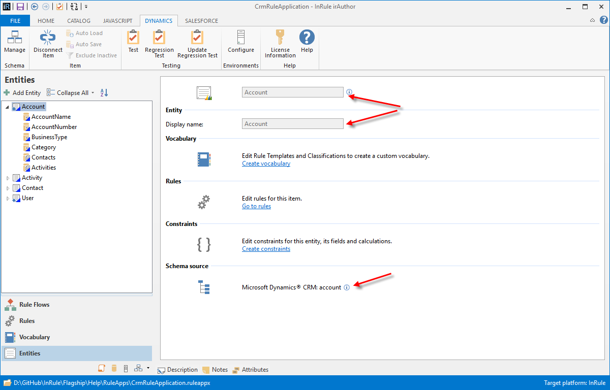 irAuthor Entity display with the Schema source pointing to Microsoft Dynamics CRM account