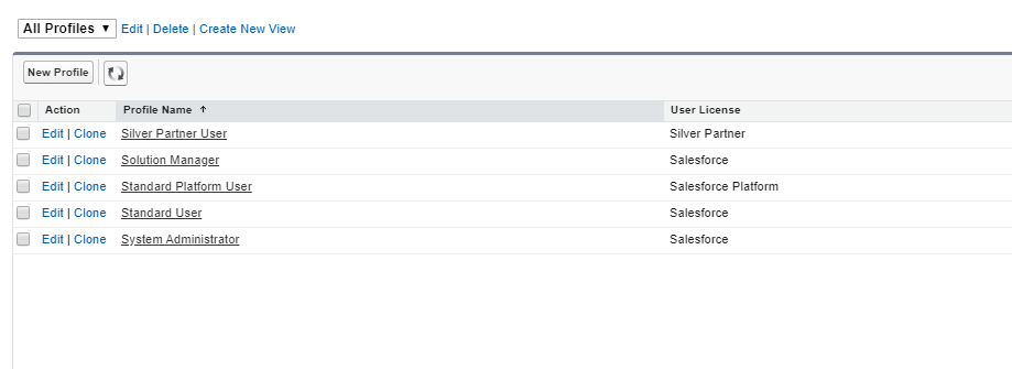 All Profiles list showing Silver Partner User, Solution Manager, Standard Platform User, Standard User, and System Administrator profiles