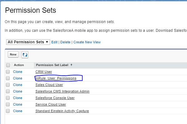 Permission Sets list with InRule_User_Permissions highlighted among CRM User, Sales Cloud User, and other permission sets