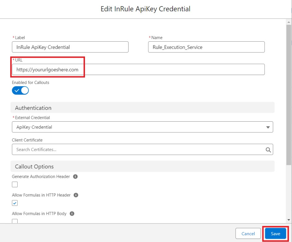 Edit InRule ApiKey Credential form with the URL field highlighted, set to https://yoururlgoeshere.com