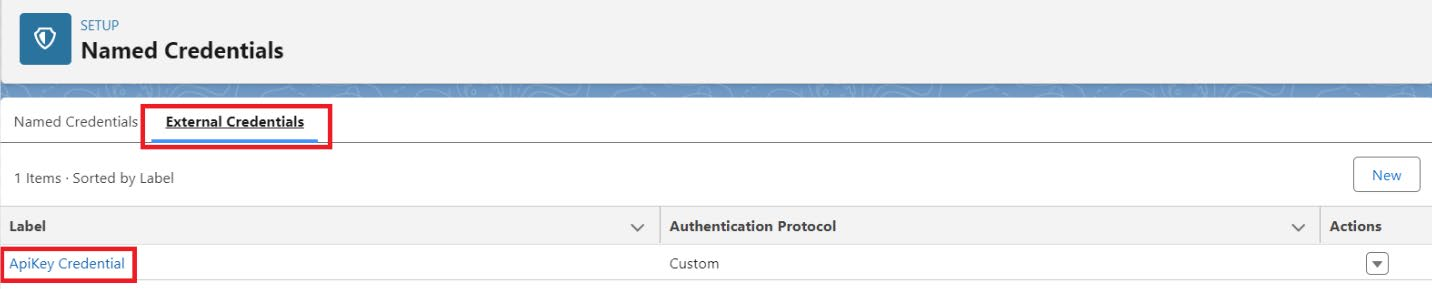 Named Credentials page with the External Credentials tab selected and the ApiKey Credential row highlighted