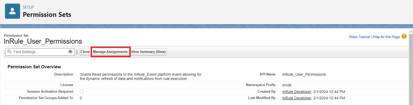 InRule_User_Permissions permission set overview page with the Manage Assignments button highlighted